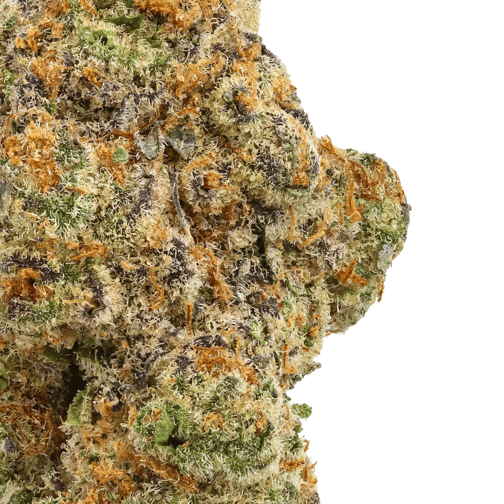 Glitter Bomb