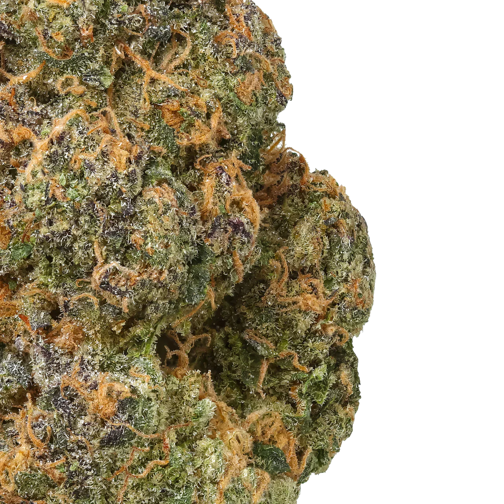 Black Maple