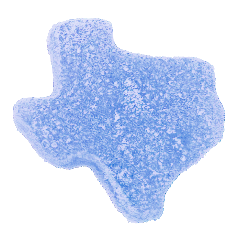 Bluebonnet Raspberry Gummies - 10mg