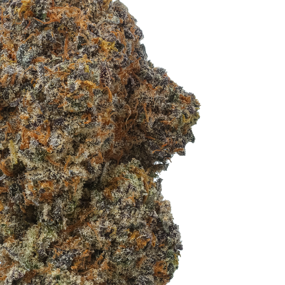 Lemon Cherry Gelato