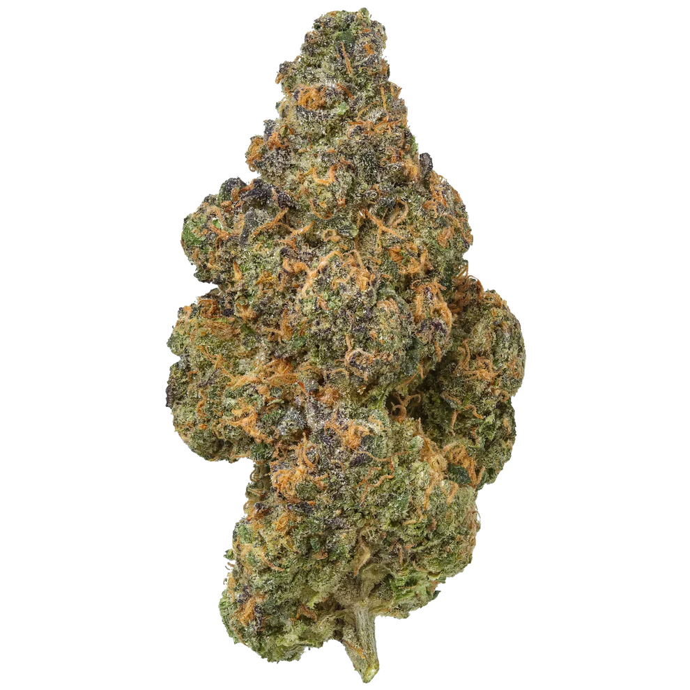 Black Maple